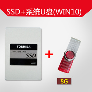 Toshiba/东芝 120GWIN10U