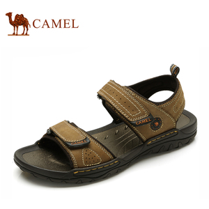 Camel/骆驼 82211609