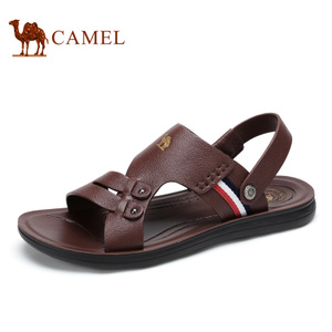 Camel/骆驼 A622211782
