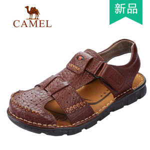 Camel/骆驼 A262396041