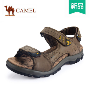 Camel/骆驼 A522307120