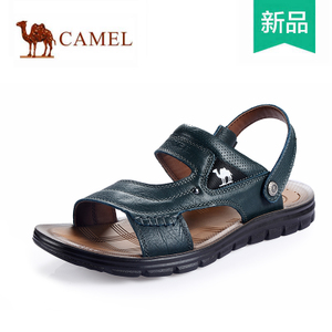 Camel/骆驼 A522211203