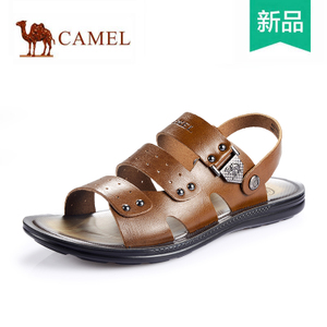 Camel/骆驼 A522211199