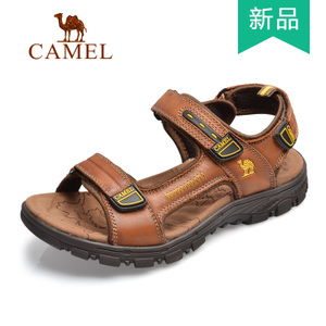 Camel/骆驼 A262344081
