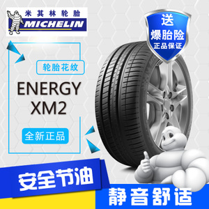 Michelin/米其林 ENERGY-...