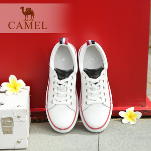 Camel/骆驼 63214606