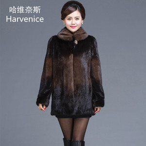 HARVENICE/哈维奈斯 HLY-329