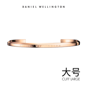 Daniel Wellington Rosegold