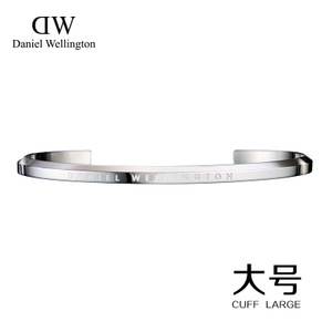 DW00400003-SLIVER