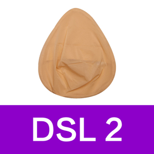 迪思乐 DSL2