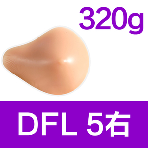 DFL5