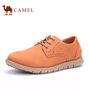 Camel/骆驼 253350093