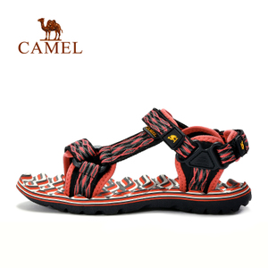 Camel/骆驼 A72162611