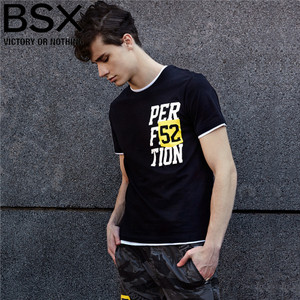 BSX 04097245
