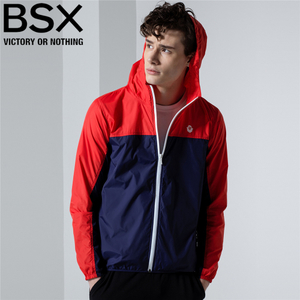 BSX 81077031