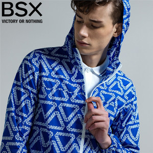 BSX 82077031