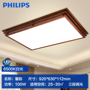 Philips/飞利浦 LED100