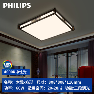 Philips/飞利浦 31206-40W-60times0.6W-60W