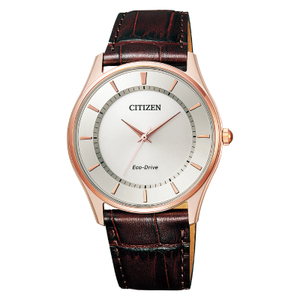 Citizen/西铁城 BJ6483-01A