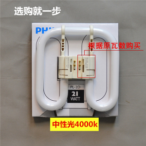 2D21W-4000K