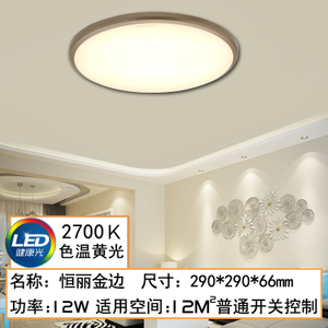 LED12W2700K290MM