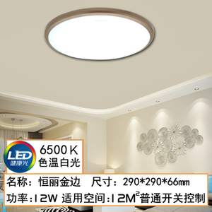 LED12W6500K290MM