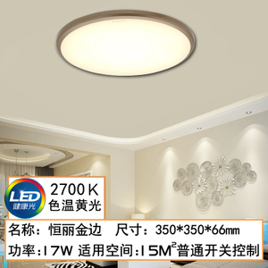 LED17W2700K350MM