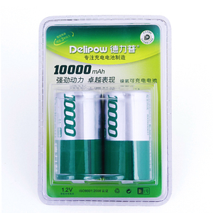 Delipow/德力普 D10000