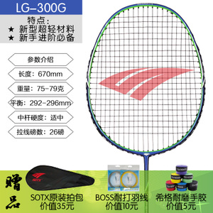 LG-300G