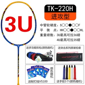 TK220H-3UVS100