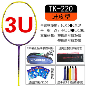 TK-220-3UVS100