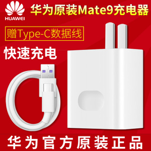 Huawei/华为 5V5AType-C