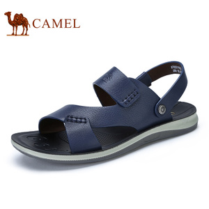 Camel/骆驼 A722211552