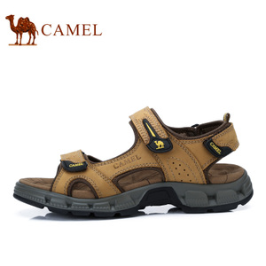 Camel/骆驼 A722344487