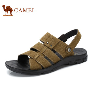Camel/骆驼 A722287022
