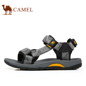 Camel/骆驼 A722162247