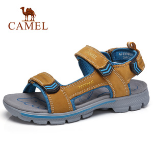 Camel/骆驼 A722396277