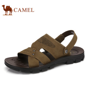 Camel/骆驼 A722211462