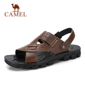 Camel/骆驼 A722287902