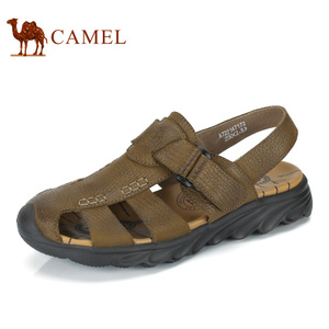 Camel/骆驼 A722147172
