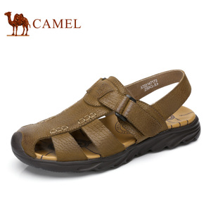 Camel/骆驼 A722147172