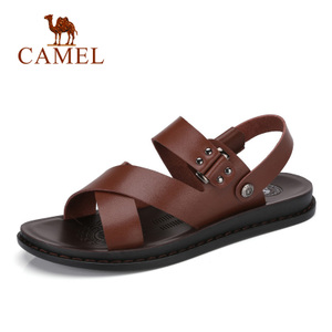 Camel/骆驼 A722263382