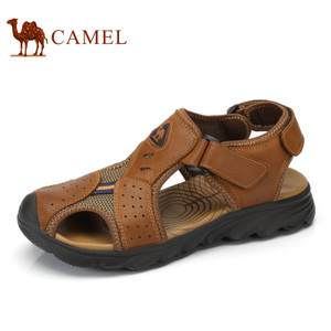 Camel/骆驼 A722147197