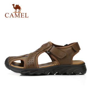 Camel/骆驼 A722147197
