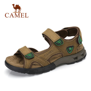 Camel/骆驼 A722307347