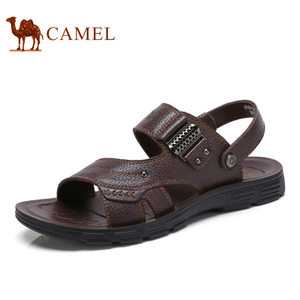 Camel/骆驼 A722211362