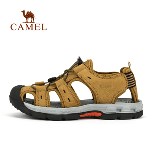 Camel/骆驼 A722396257