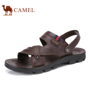 Camel/骆驼 A722211372