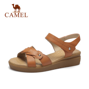 Camel/骆驼 A72504673