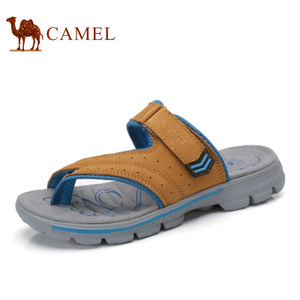 Camel/骆驼 A722396237